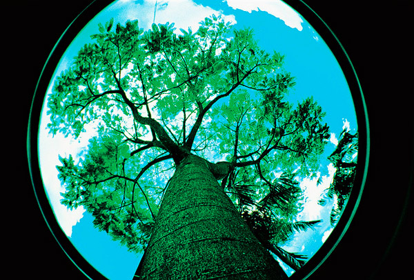fisheye