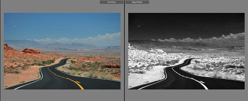 lightroom preset black white infrared