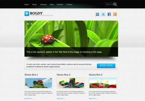 Boldy WordPress Theme