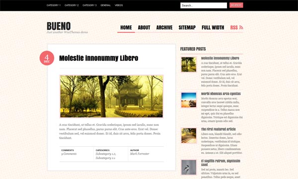 Bueno WordPress Theme