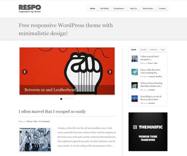 Respo Theme