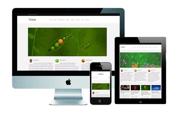 Orionfree wordpress theme