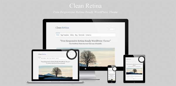 Clean RetinaWordPress Theme