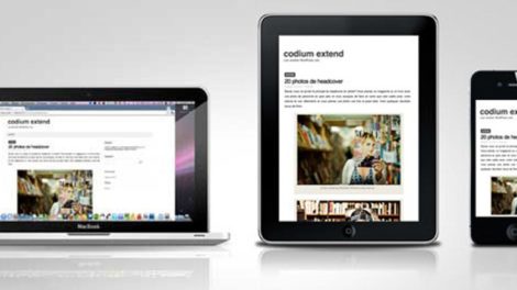 responsive wordpress themes