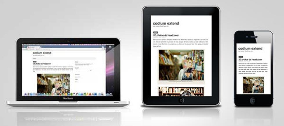 responsive wordpress themes