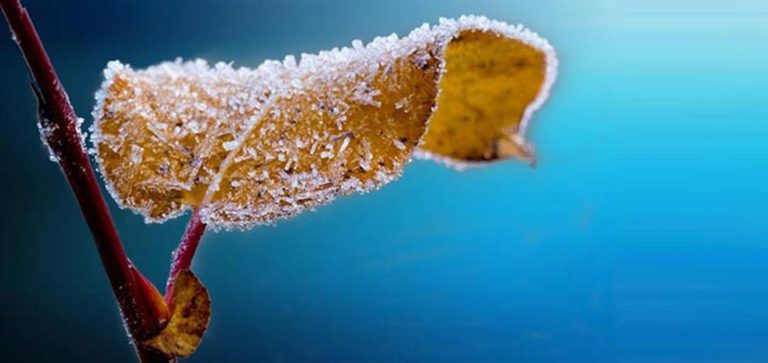 winter fotografie preview