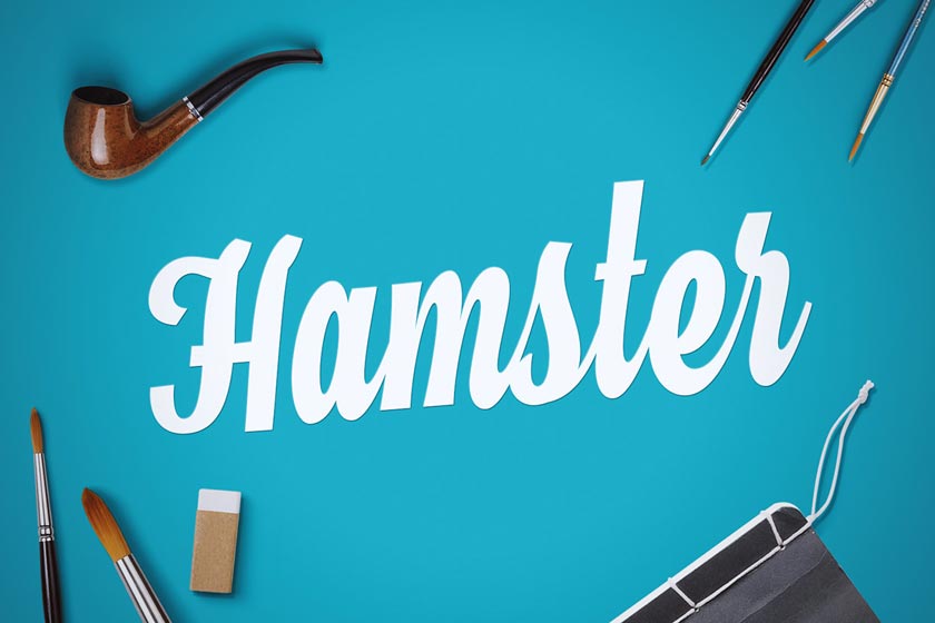 hamster script