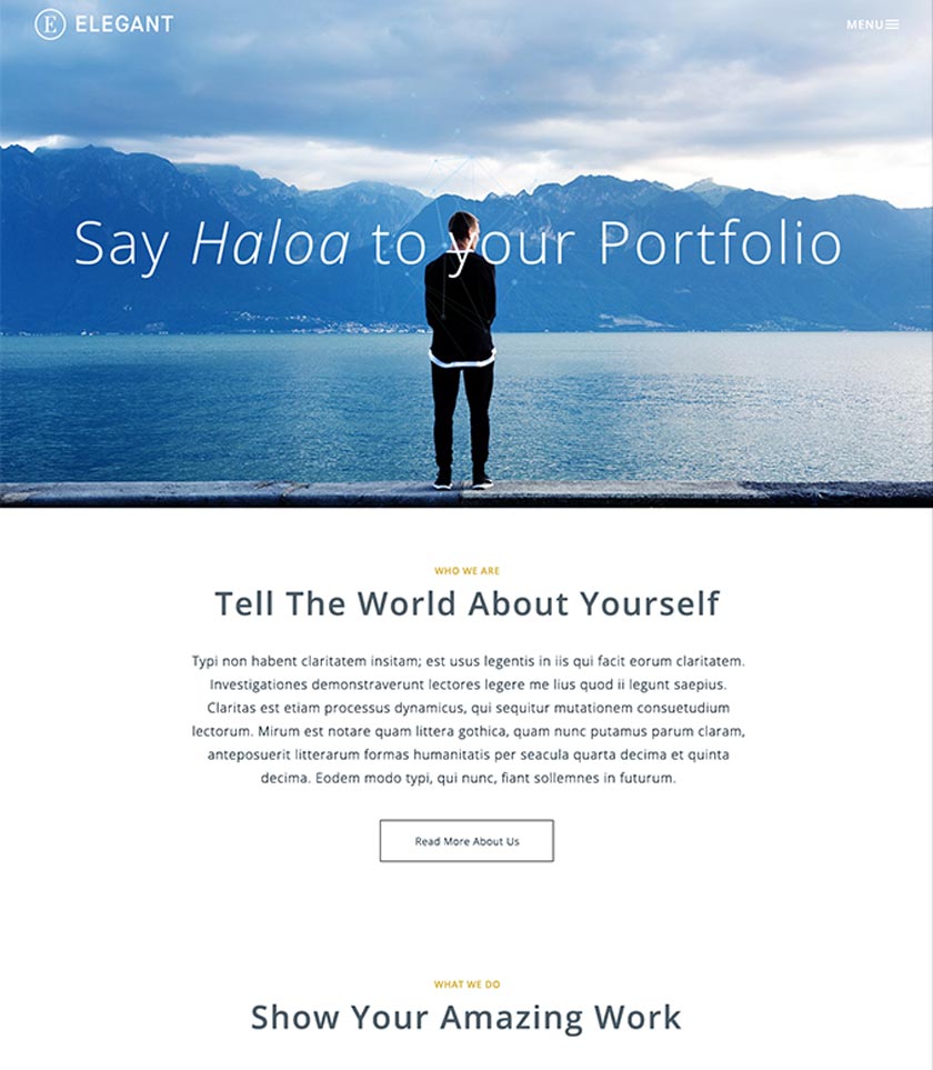 Portfolio psd template elegant