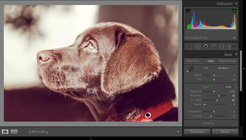 Lightroom aufhellicht