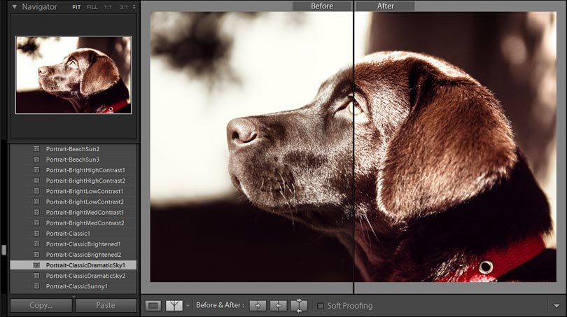 lightroom preset in aktion