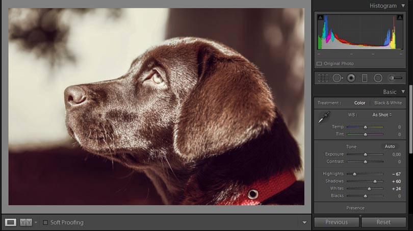 Lightroom weiss werte