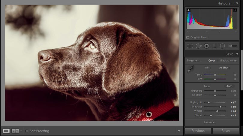 Lightroom schwarz werte