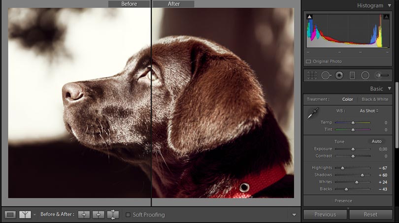 Lightroom vorher nachher