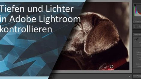 tiefen und lichter in lightroom kontrollieren preview