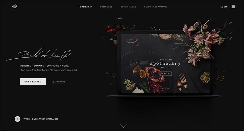 screenshot squarespace