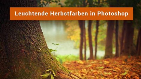 herbstbilder photoshop