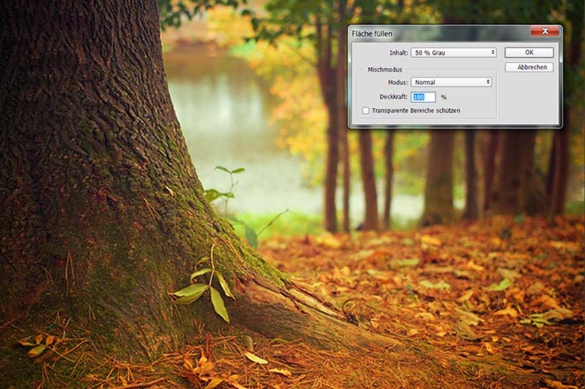 herbstbilder in photoshop optimeren