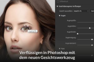 Gesichtswerkzeug in Photoshop