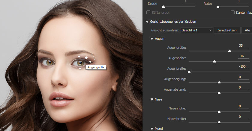 Gesichtswerkzeug in Photoshop